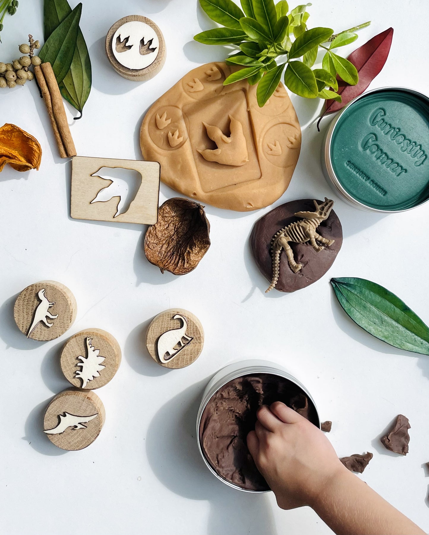 Jurassic Dino Play Set