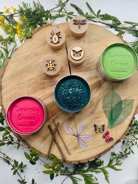 Dragonfly Play Set
