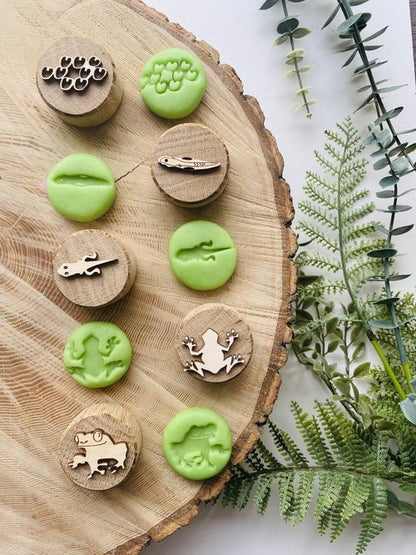 Frog Life Cycle Oak Stamps