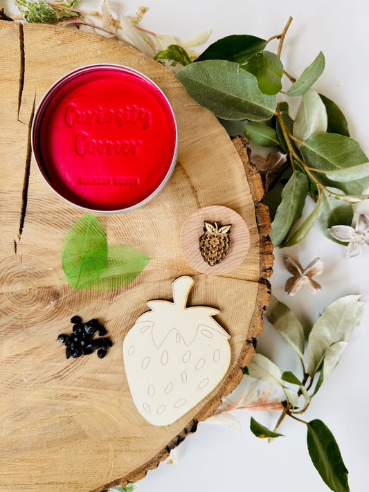 Strawberry Mini Play Set